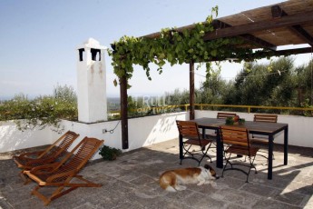 Vigne di Salamina - Trullo Monte Zuzzu - terrazza