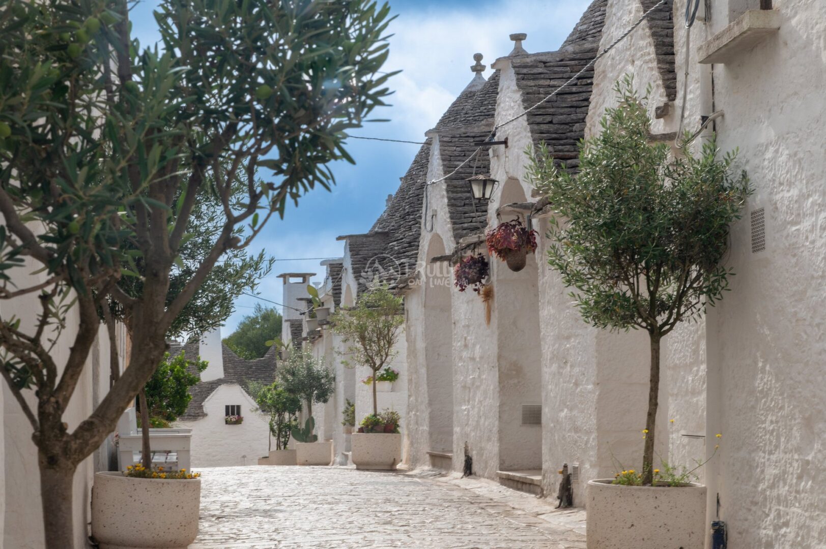 guida-alberobello-trullionline-04 Via deserta tra trulli con ulivi in vaso