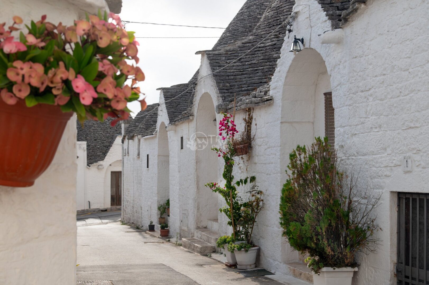 guida-alberobello-trullionline-17 Via silenziosa di Alberobello con trulli dalle facciate ad arco e vasi di fiori