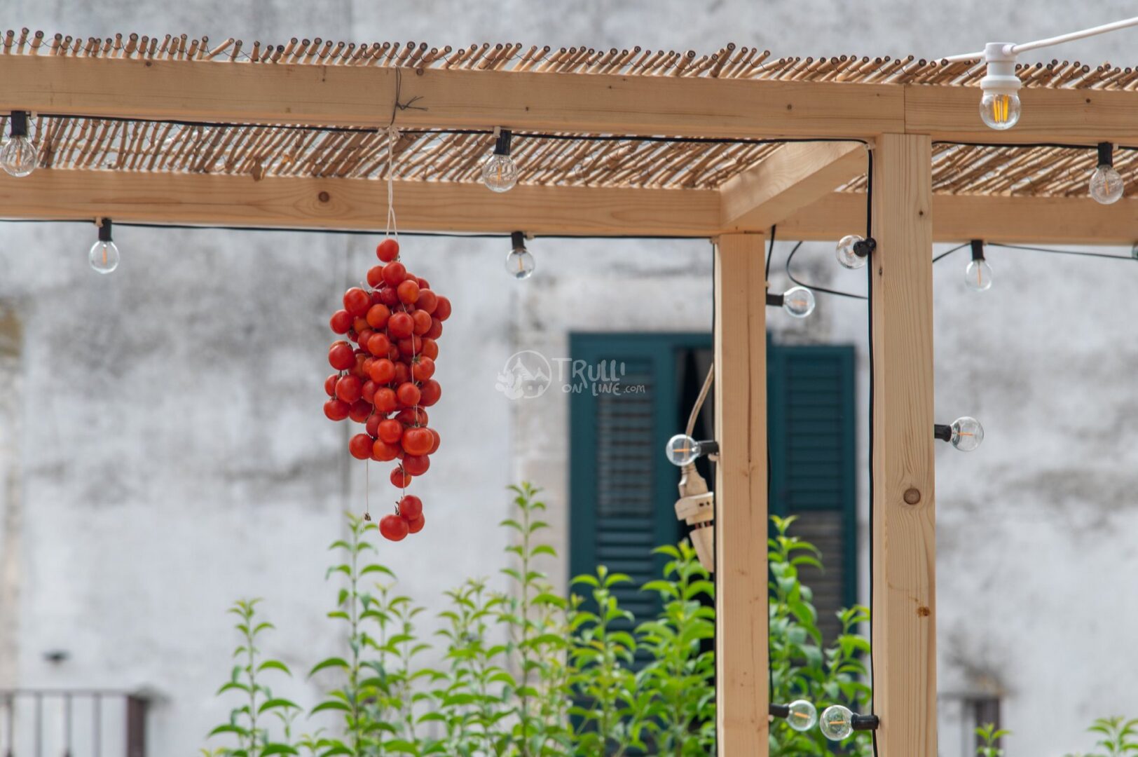 guida-ceglie-messapica-trullionline-12 Grappolo di pomodorini rossi appeso a una pergola di legno con lampadine, finestra con persiane verdi