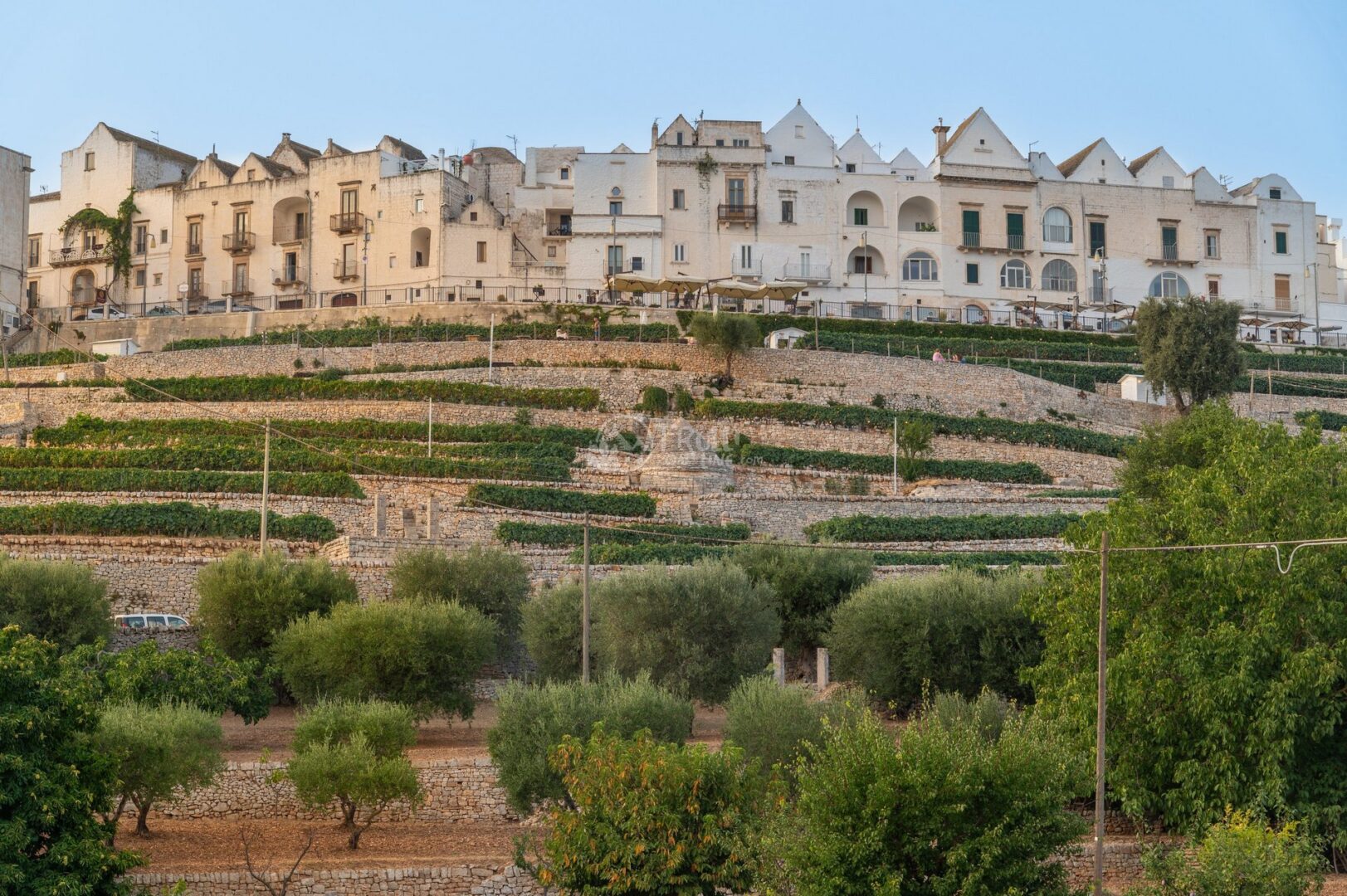 Facciata di case chiare affacciate sulla valle, sopra terrazzamenti di vigne e ulivi