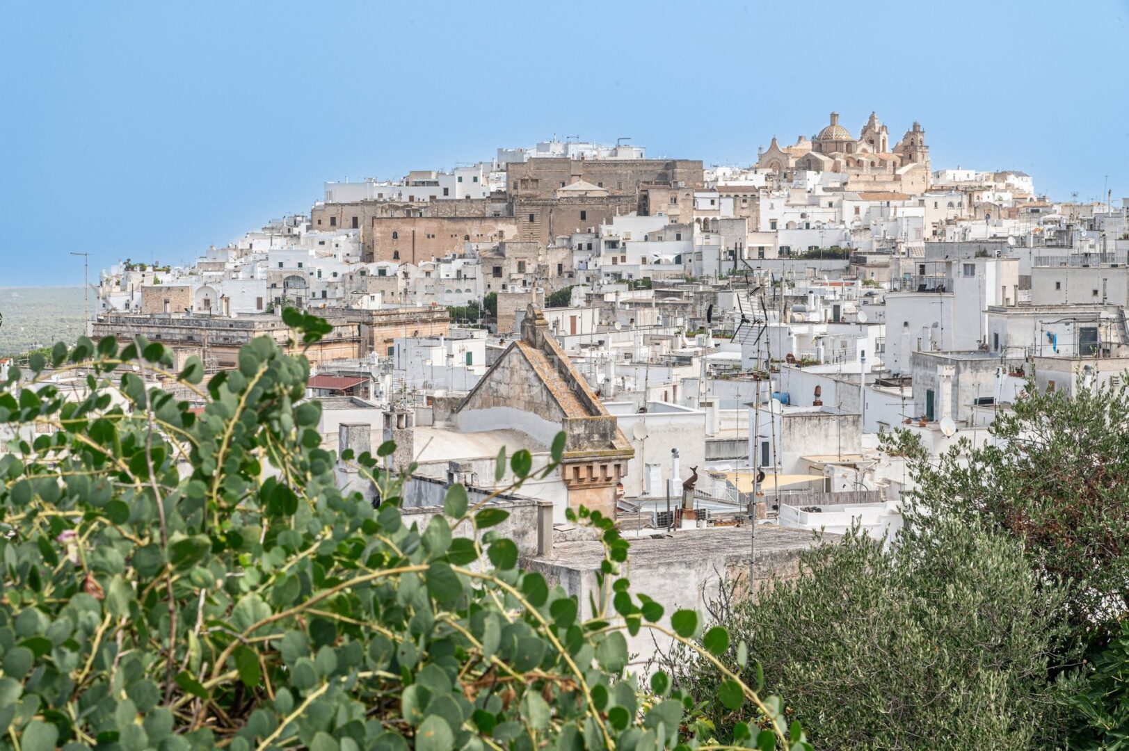 guida-ostuni-trullionline-01 Il centro storico bianco di Ostuni sulla collina, con la cattedrale in cima