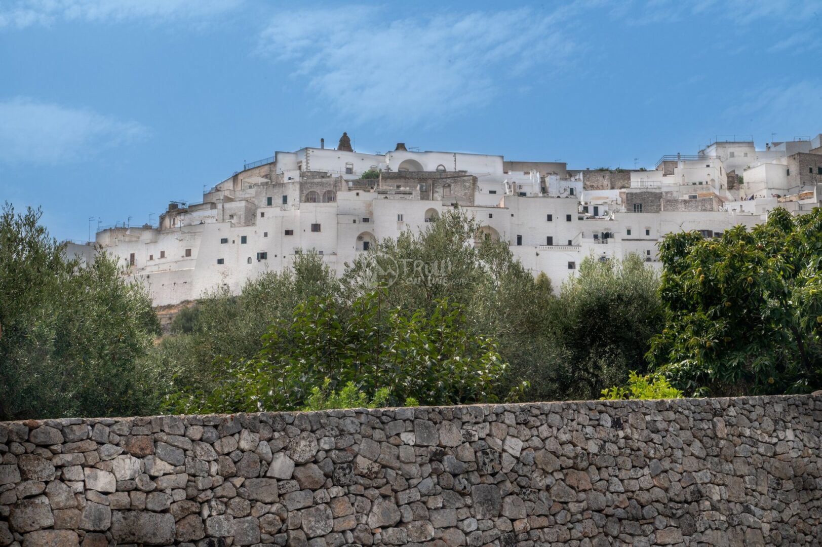 guida-ostuni-trullionline-02 Le case bianche di Ostuni sulla collina, viste dagli uliveti oltre un muro a secco