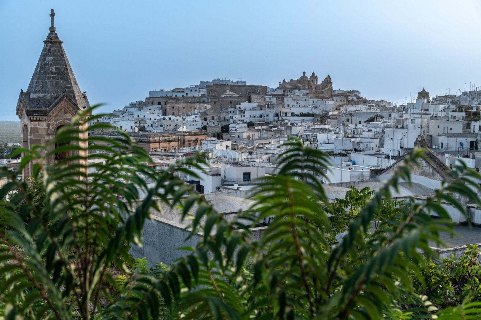 guida-ostuni-trullionline-07 Il centro storico di Ostuni sulla collina, con un campanile in primo piano tra le foglie