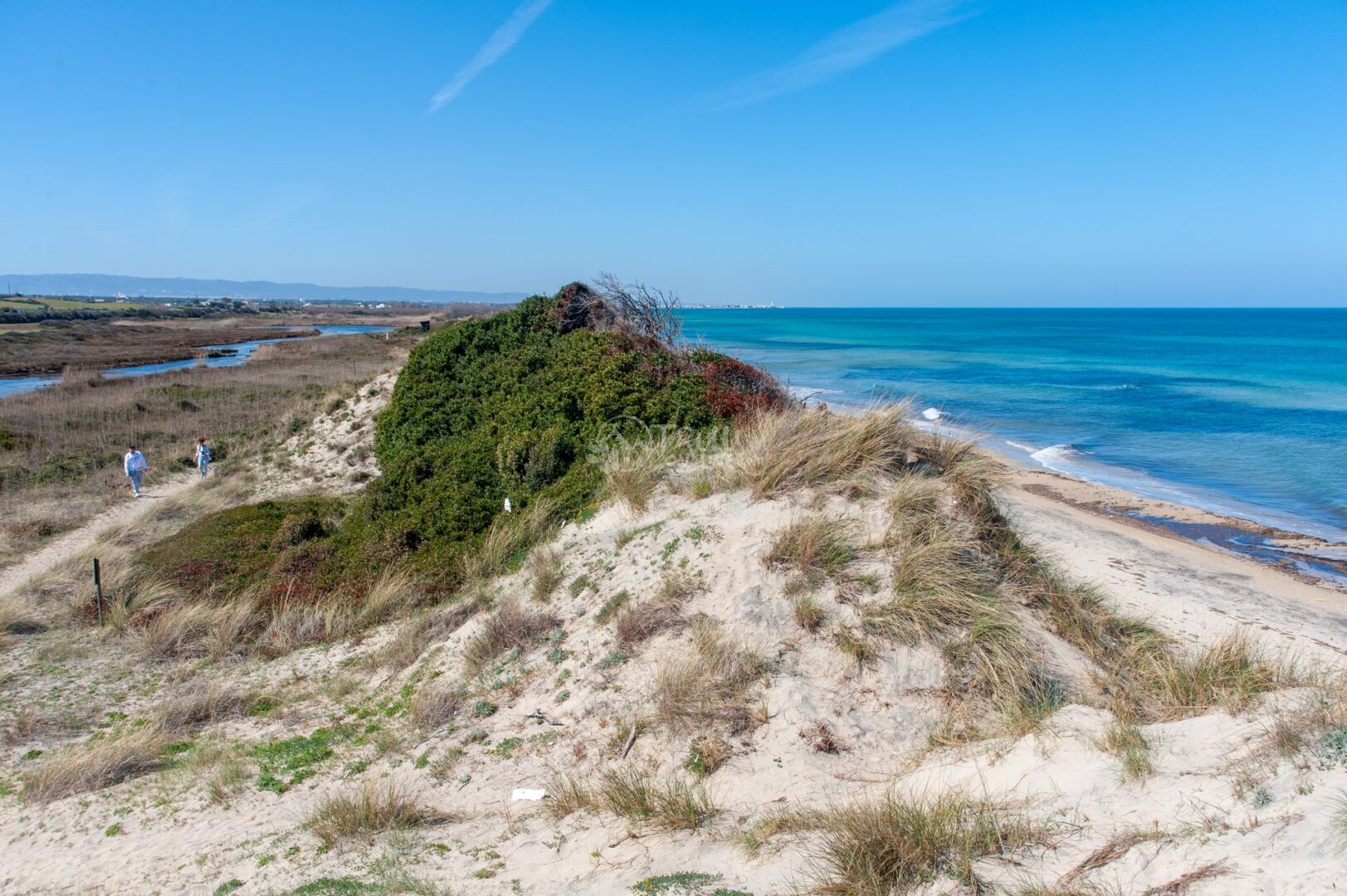 parco-delle-dune-costiere-trullionline-11 Duna di sabbia e macchia mediterranea sulla costa, con due escursionisti su un sentiero e il mare turchese
